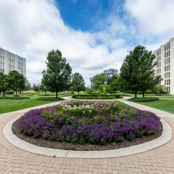 Flowers and gardens at the Zeller owned Commerce Plaza office building in Oak Brook, IL.